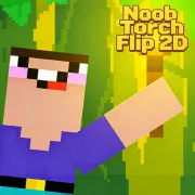 Noob Torch Flip 2D